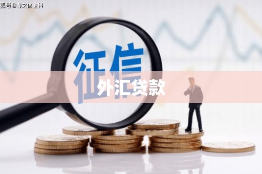献县外汇贷款