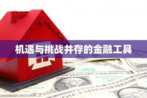 献县机遇与挑战并存的金融工具