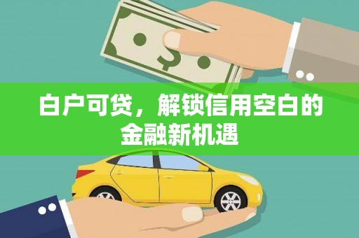 献县白户可贷，解锁信用空白的金融新机遇