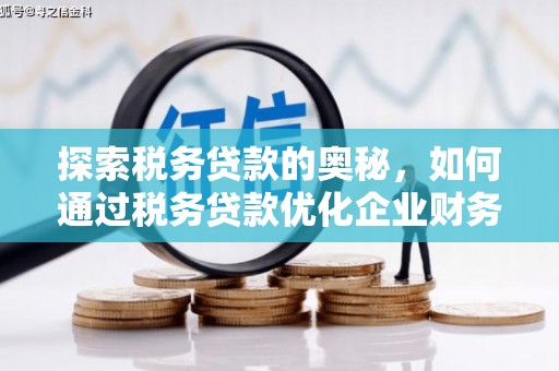 献县探索税务贷款的奥秘，如何通过税务贷款优化企业财务
