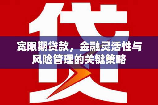 献县宽限期贷款，金融灵活性与风险管理的关键策略