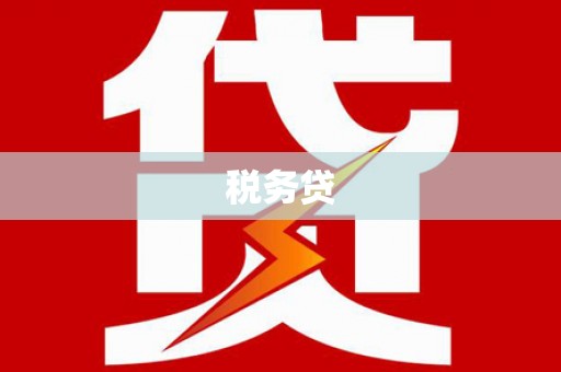 献县税务贷