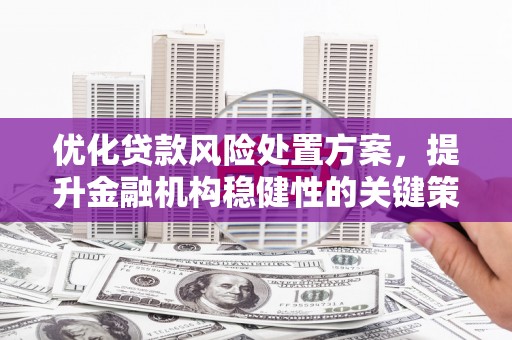 献县优化贷款风险处置方案，提升金融机构稳健性的关键策略