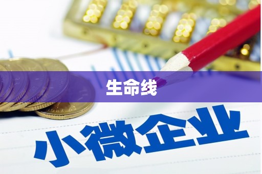 献县生命线