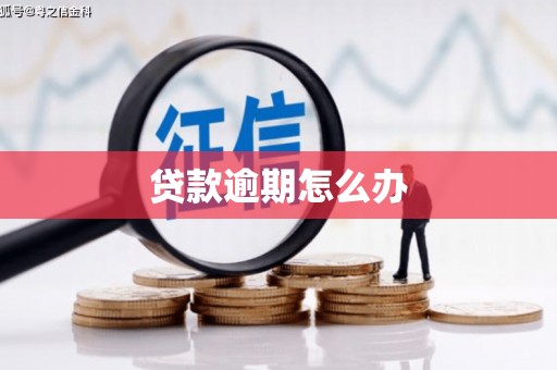 献县贷款逾期怎么办
