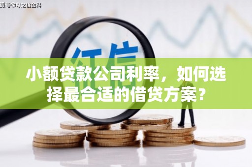 献县小额贷款公司利率，如何选择最合适的借贷方案？