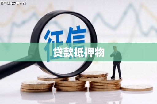 献县贷款抵押物