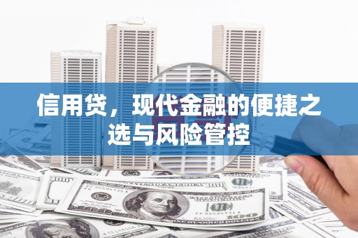 献县信用贷，现代金融的便捷之选与风险管控