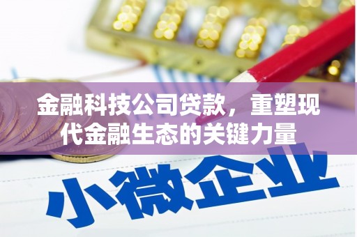 献县金融科技公司贷款，重塑现代金融生态的关键力量
