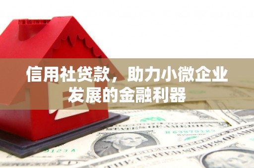 献县信用社贷款，助力小微企业发展的金融利器