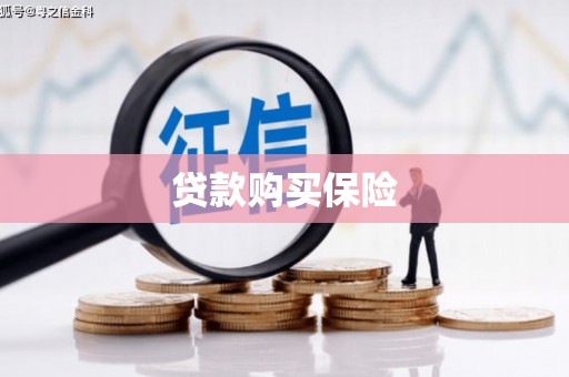 献县贷款购买保险