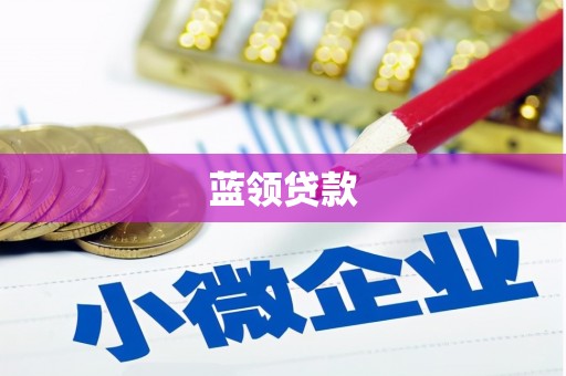献县蓝领贷款
