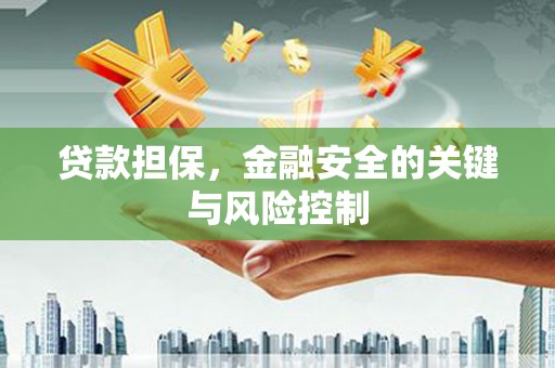 献县贷款担保，金融安全的关键与风险控制