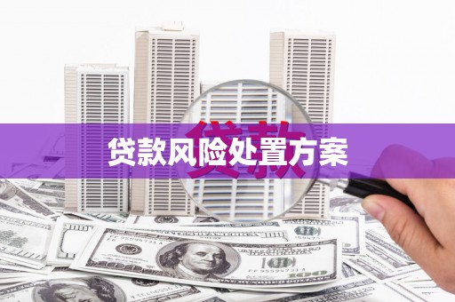 献县贷款风险处置方案
